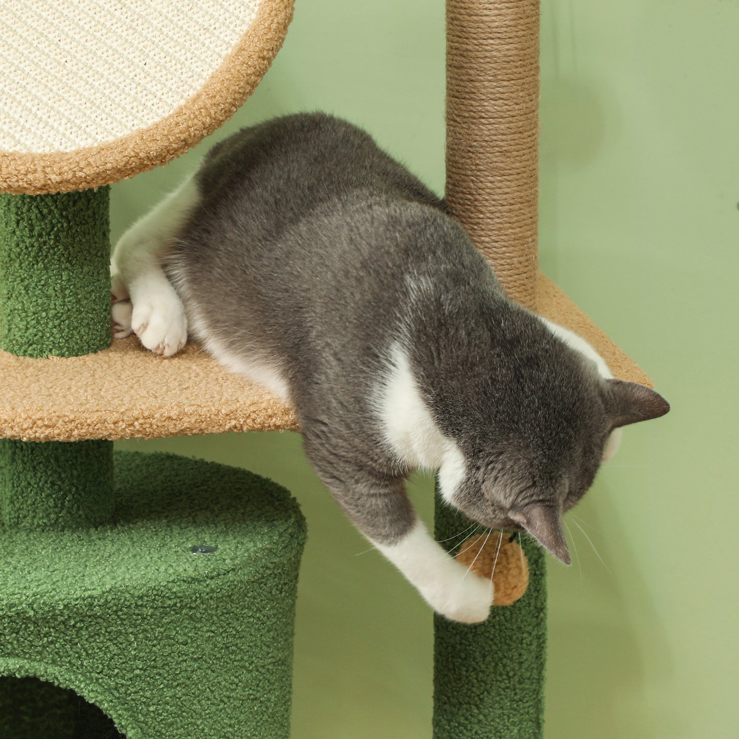 PawHut Kratzbaum, 139 cm Katzenbaum mit Höhle, Spielbällen, Sisal-Kratzpfosten och Plattformen, für zwei Katzen, Grün