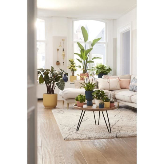 Round flower pot vibes - Plastic - Ø25 - White