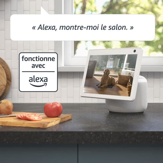 Mini Pan-Tilt Camera - BLINK HOME SECURITY - Black