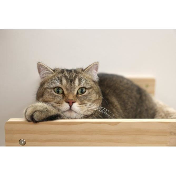 Wall-mounted cat hammock - KERBL - TIMBER - 38 x 33.5 x 16 cm - Solid wood - Plush fabric