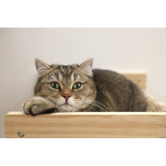 Wall-mounted cat hammock - KERBL - TIMBER - 38 x 33.5 x 16 cm - Solid wood - Plush fabric
