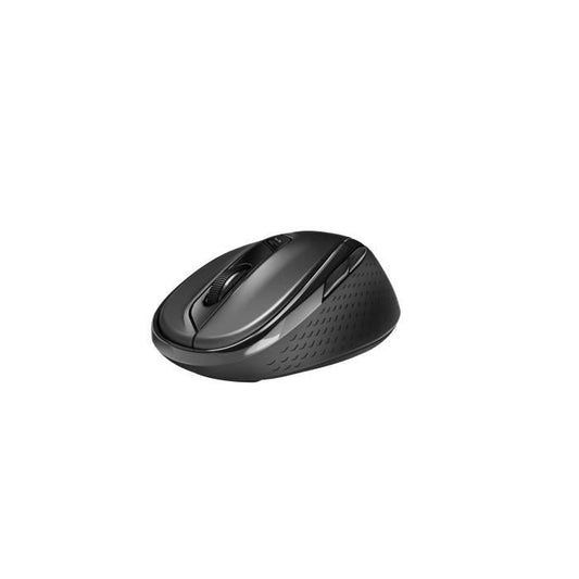 Mouse - Wireless - Rapoo - M500 Silent - Black