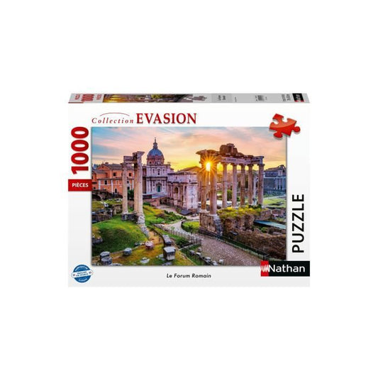 Nathan puzzle 1000 p The Forum