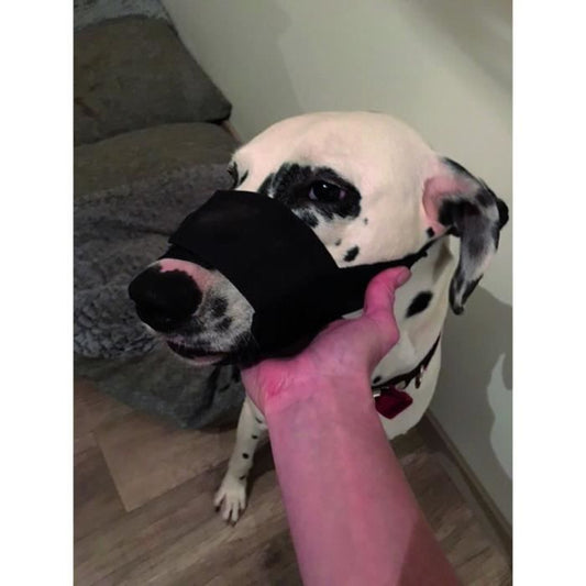 Yago museliere in black nylon for large dog, muzzle part with breathable and adjustable net