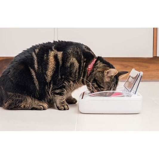 SUREFLAP Automatic Food Dispenser - SureFeed hermetic bowl - for cats and small dogs