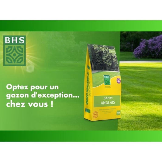 BHS English Turf - 5kg for High-End Gardens