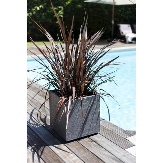 EDA Plastic Square Flower Flower Graphit - 57 L - 49.5 x 49.5 x 49.5 cm - Anthracite gray