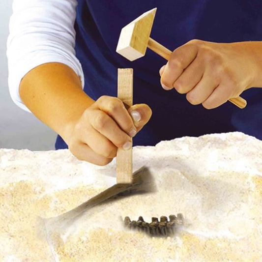 2 in 1 Dinosaur and Skeleton Dig - T-rex - SES CREATIVE