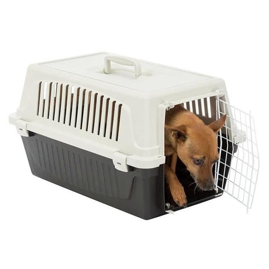 Transport basket for cats and small dogs ATLAS 10EL - Plastic - FERPLAST