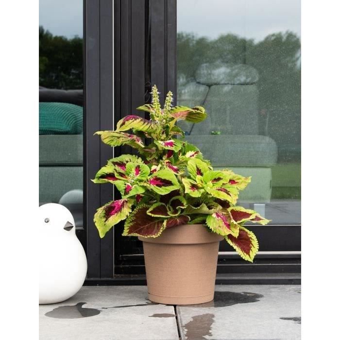 Water reserve pot - GARDEN ID Glamour - Taupe 40 cm - Grainy surface - Indoor/outdoor - Sleek design - Contains wood.