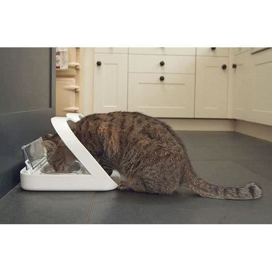Surefeed Electronic - White Food Distributor (delivered with a single bowl, a double bowl, a carpet and a medallion)