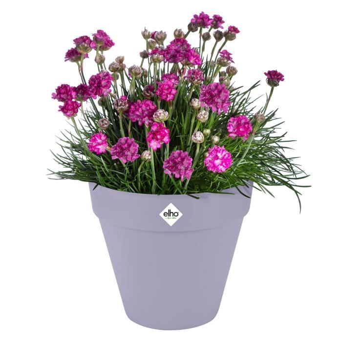 Flower pot - Elho - Loft Urban Round - Wheels 50 - Purple - L 49 x W 48.5 x H 45 cm - Outdoor - 100% recycled