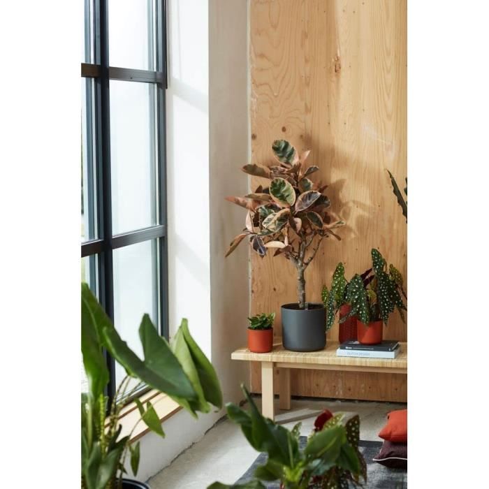 Loft Urban Loft of Loft of Flower - Plastic Tank - Ø30 - Powder pink