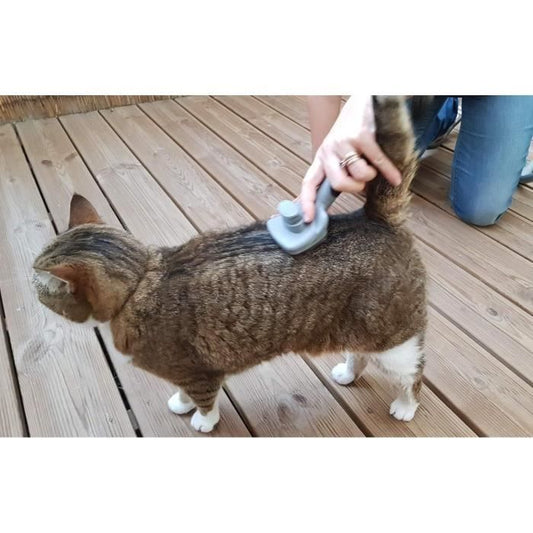 VETOCANIS Retractable and self-cleaning card brush - To remove dead hair - For cat