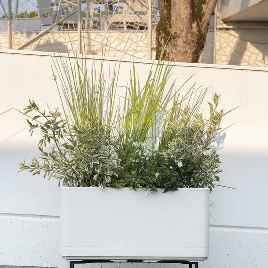 Muret Planter - DEROMA - Cosmo - Pearl - With water reserve - Casters - 78 cm