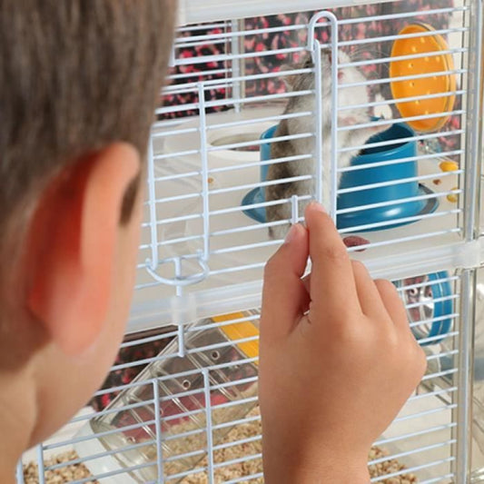 Zolux cage on 2 floors for hamsters, mouse and gerbilles - rudy3 duo - l 41 x D 27 x h 40.5 cm - blue