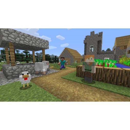 Minecraft Game switch