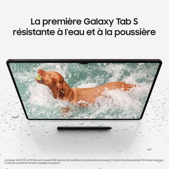 Touch Tablet - SAMSUNG - Galaxy Tab S9+ - 12.4 - RAM 12GB - 512 GB - Anthracite - S Pen included