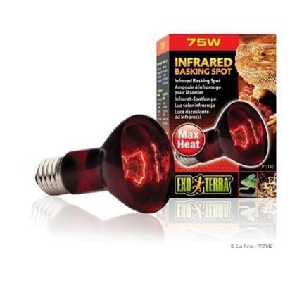 BASKING SPOT lamps infrared 75 W