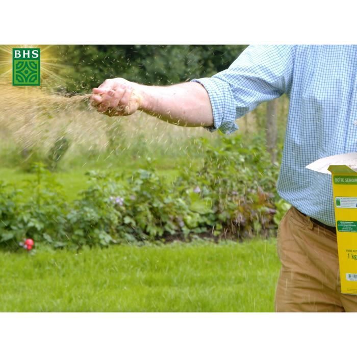 Lawn - BHS - Shade Lawn 1kg | 40m² | Resistant to low light and shaded areas.