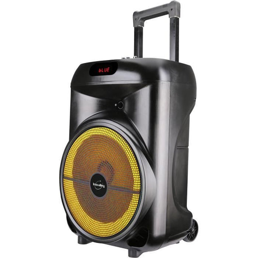 Trolley speaker - INOVALLEY - KA122 - 700W - Bluetooth - Illuminated
