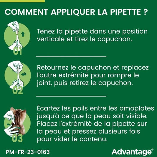 Advantage antipuce rabbit chat solution +4kg 6 pipettes