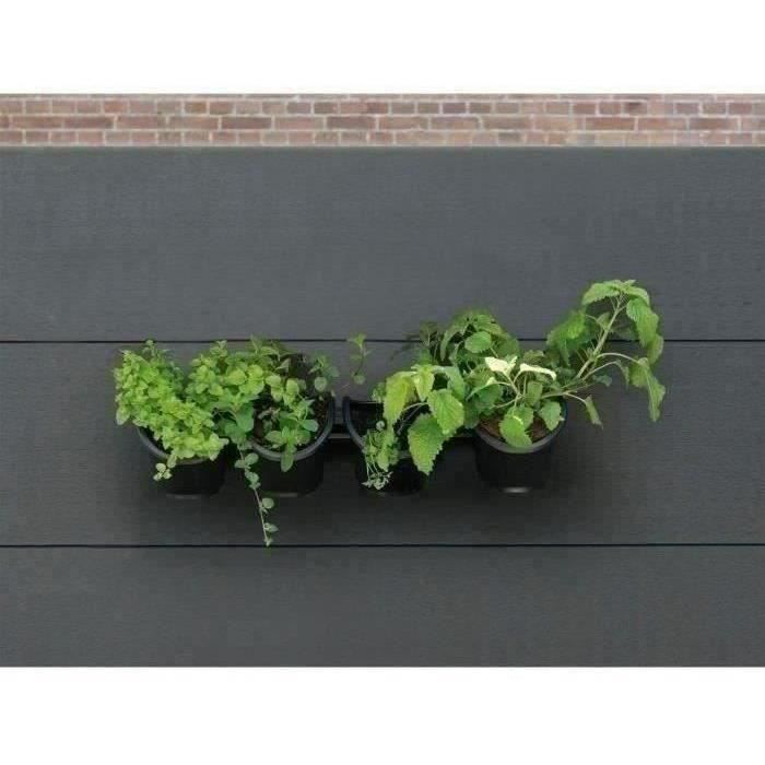 Wall planter - Wall kit consisting of a wall bracket and 4 pots (1 L) - Black - Dim H 15 x W 60 cm - NATURE