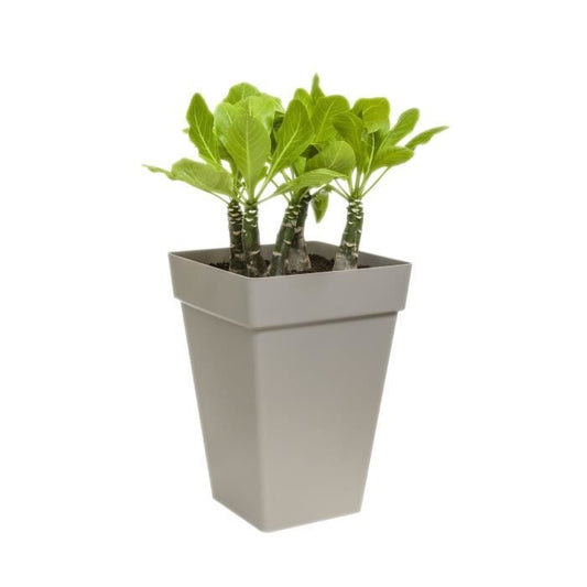 Elho Loft Urban Square Flower Box High 30 - Black - Ø 29 x H 41 cm - outdoor - 100% recycled
