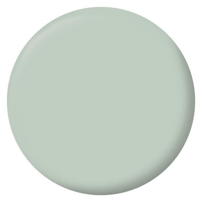 RIPOLIN Velvet Color Paint for Walls, Woodwork, Radiators - Palatino Green