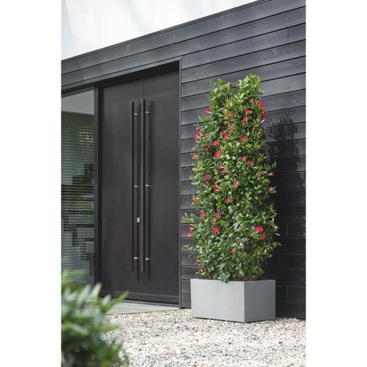 Elho Vivo Next Long 80 Flower box - Gray - L 78 x B 39 x H 38 cm - indoor/outdoor - 100% recycled