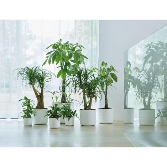 ELHO B.for Soft Round flower pot 35 - White - Ø 35 x H 32 cm - interior - 100% recycled