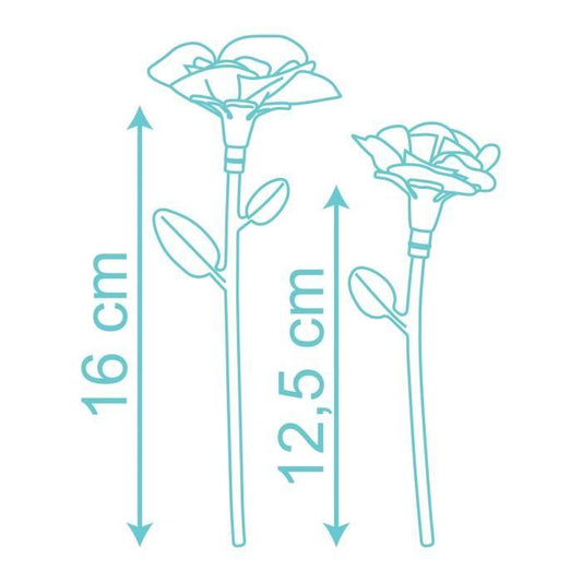 Flower Set