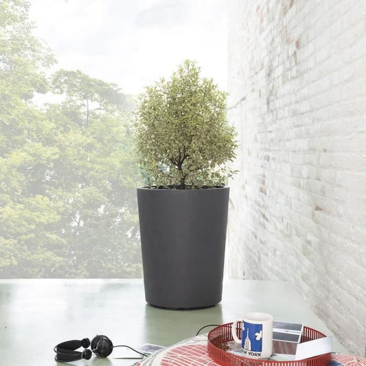 Flower pot Vase - DEROMA - Millennium R - Anthracite - With water reserve - Height - 53 cm