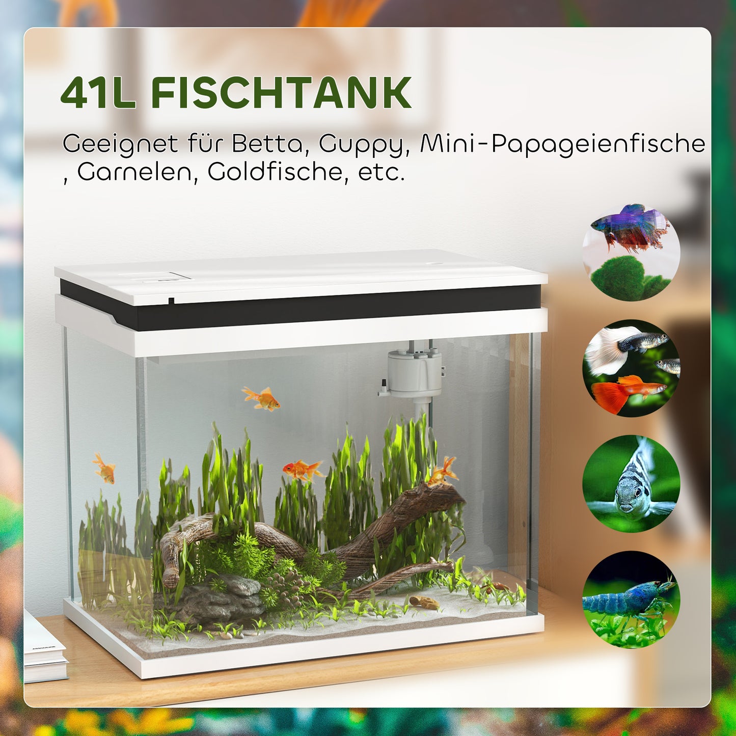 PawHut 41 liter glas-akvarium med filtersystem, LED-lampa, vattenpumpar, för olika fiskarter, Weiß