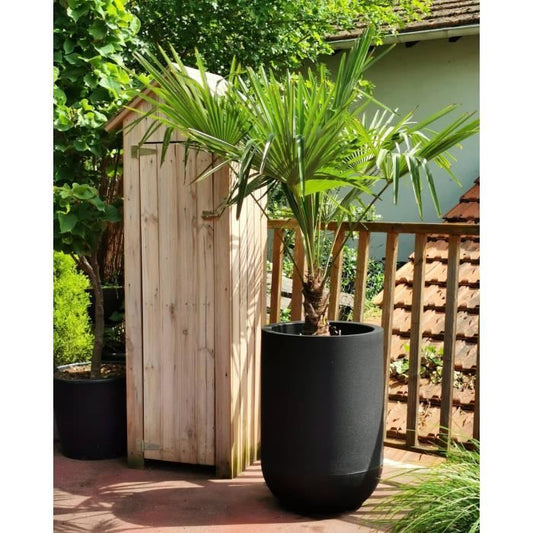 RIVIERA GRANIT TULIP round flower box - Plastic - Diameter 50 cm - Black