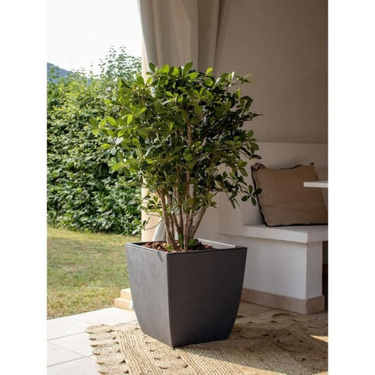 EDA Flower box - DIVA BASALT - Anthracite grey - High square - 42 L - 43.5 x 43.5 x H.78.2 cm - EDA - Removable inner box