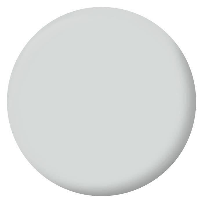 RIPOLIN Velvet Color Paint for Walls, Woodwork, Radiators - Mouse Grey