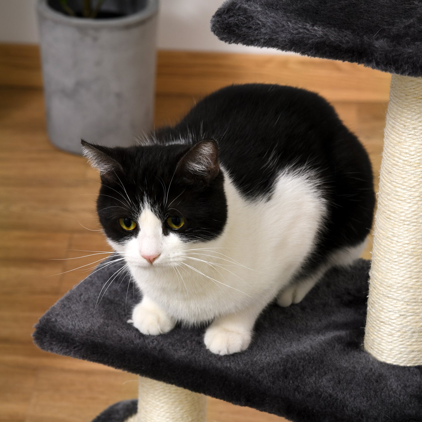 PawHut Kratzbaum 72 cm Katzenturm mit Plüschballen, Sisalstämme, Plattform, Kratzbrett mehrstöckiger Katzenkratzbaum, Kletterbaum, für mittelgroße Katzen, Grau