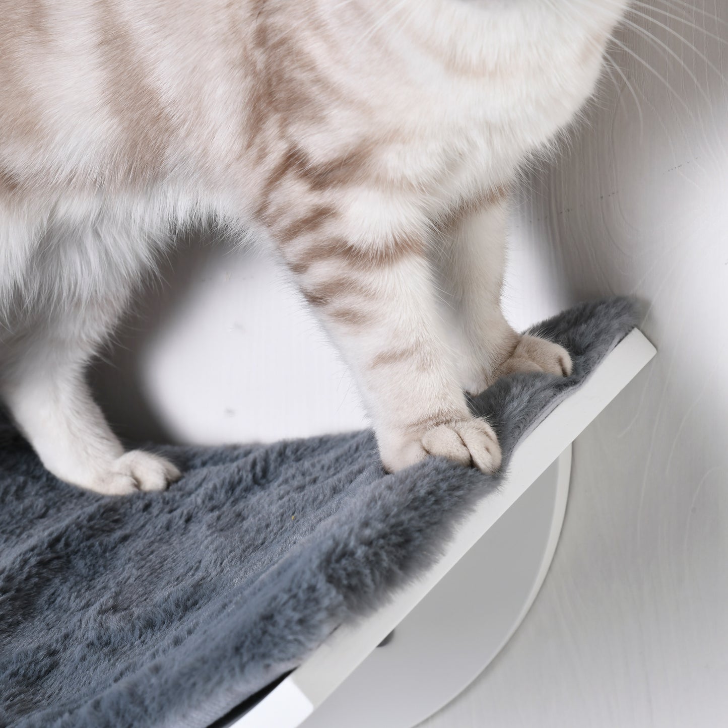 PawHut Katzenliege Katzen Wandliege Katzenbett Katzenregal Wandmontage Plüschauflage Grau 41 x 28 x 21 cm