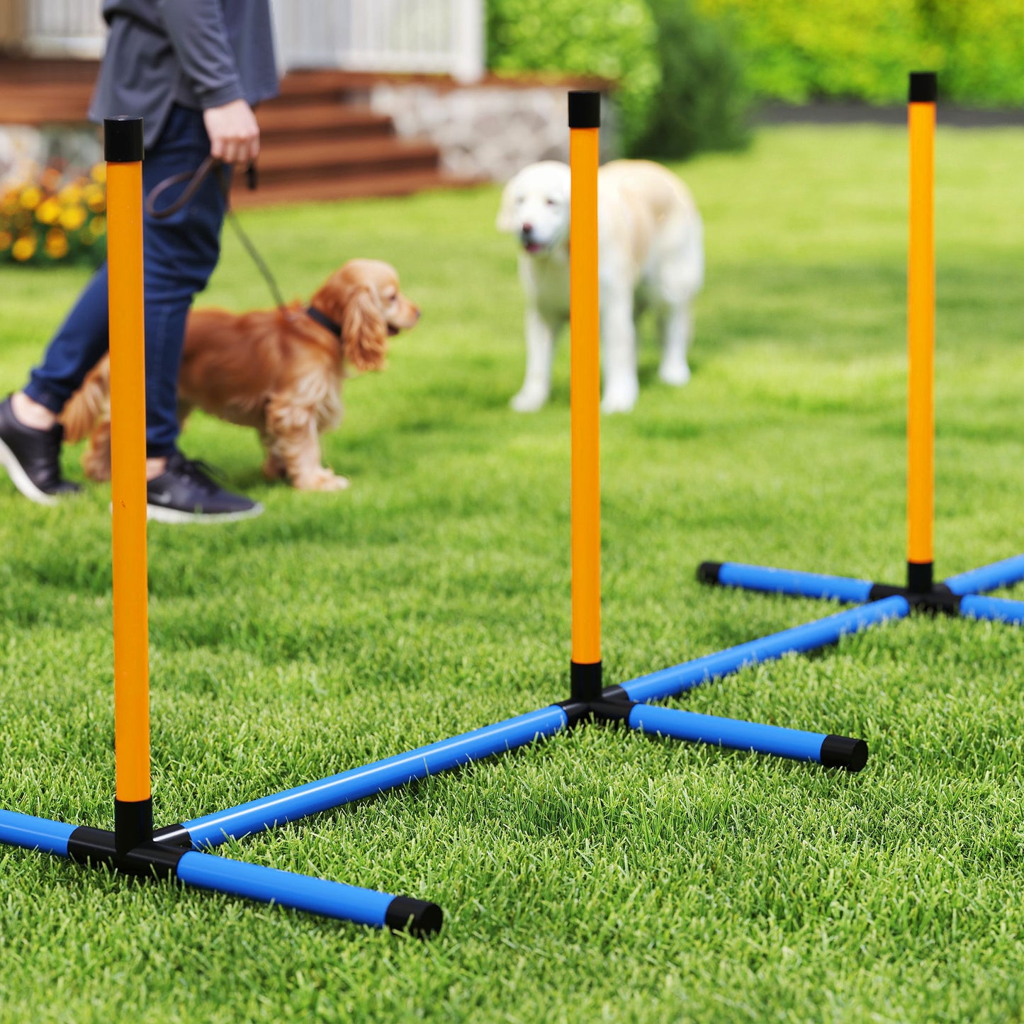 PawHut Agility Set Hunde 7-teilig Agility-Ausrüstung für Hundetraining Steckhürdenset für Spiele Training