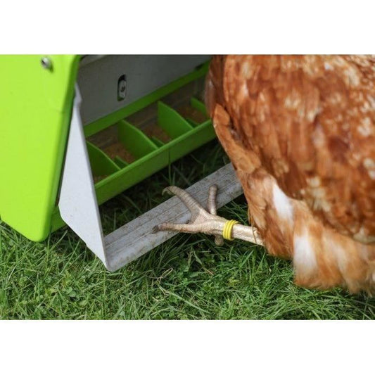 Automatic feeder - KERBL - SmartCoop - Protective flap - 7.5 kg - Green
