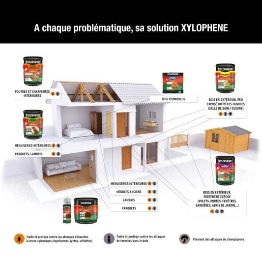 Beam & frame treatment - XYLOPHENE - 5 L