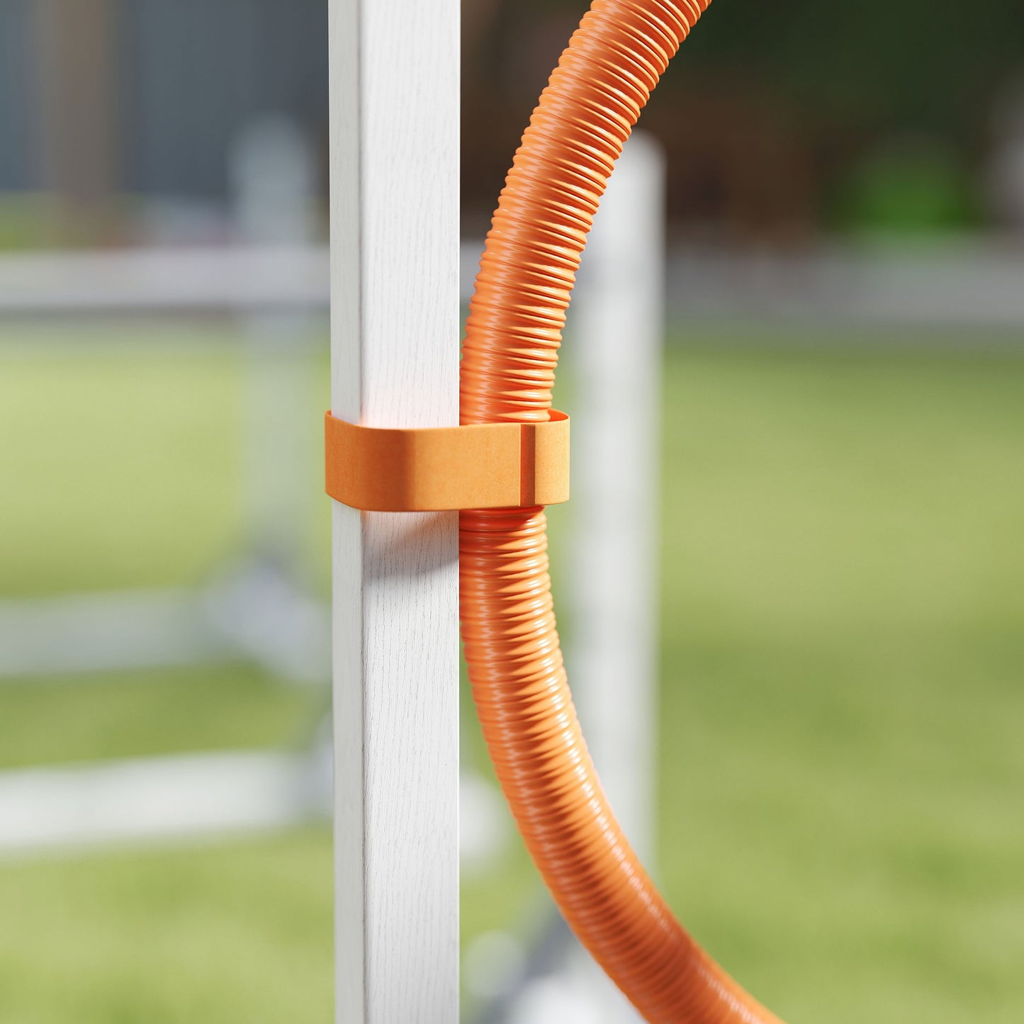 PawHut Agility Set Hunde 4-teiliges Agility-Ausrüstung für Hundetraining mit höhenverstellbar Hürden Reifen Weiß