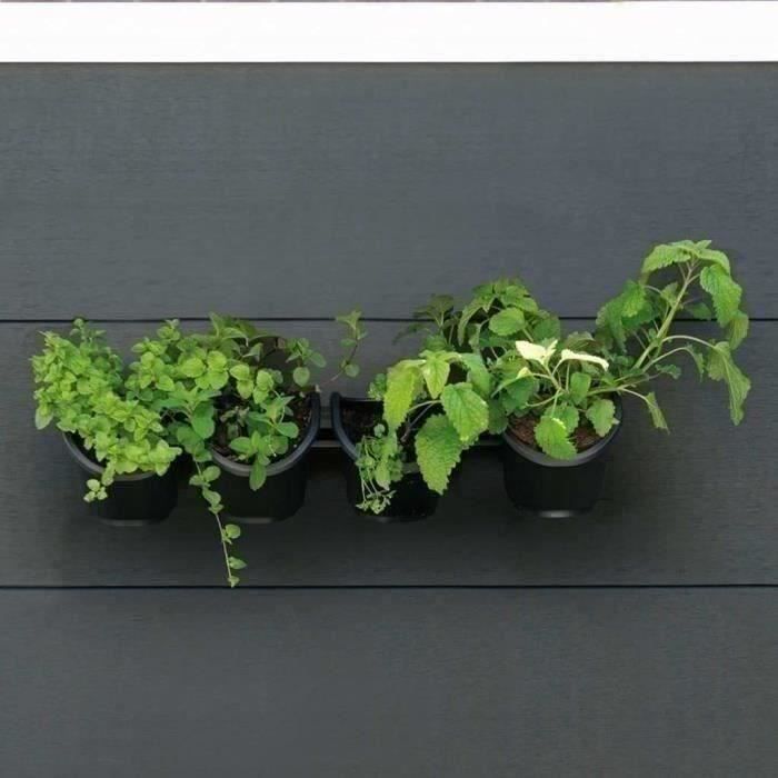 Wall planter - Wall kit consisting of a wall bracket and 4 pots (1 L) - Black - Dim H 15 x W 60 cm - NATURE