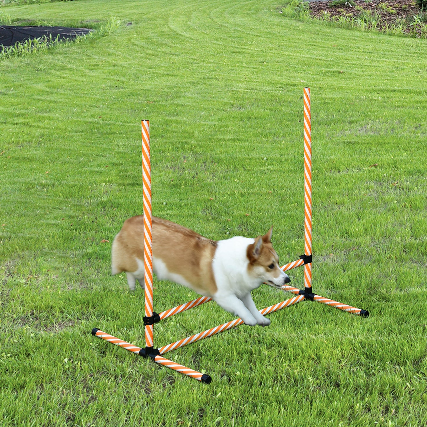 PawHut Agility Set Hunde, 6tlg. Agility-Ausrüstungs-Set mit Flechtstangen, Pfeife, Hundetraining Zubehör mit Tragetasche, für Park, Garten, Orange