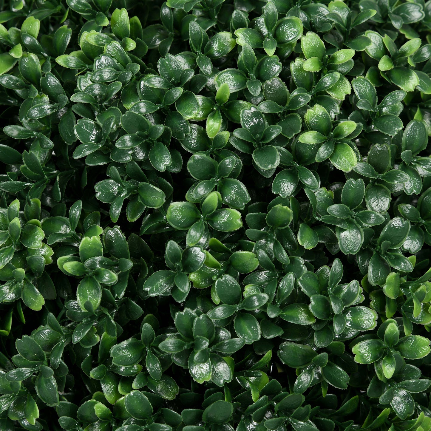 HOMCOM Künstlicher Buchsbaum im 2er-Set, realistisch, wetterfest, pflegeleicht, 70 cm