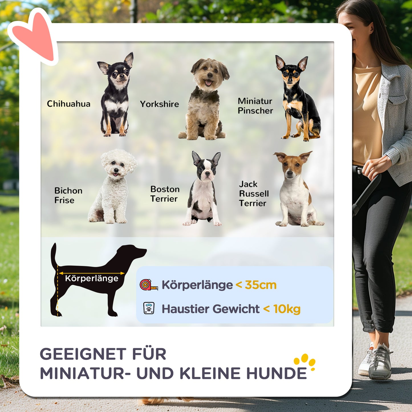 PawHut Hundewagen Hundebuggy klappbar für Hunde & Katzen bis 10 kg 75 x 45 x 97 cm Dunkelgrau