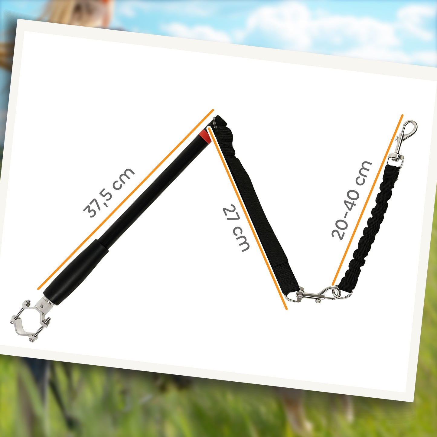 PawHut Hundeleine fürs Fahrrad, elastisk Seil, Stahlrohr, 124 cm, Schwarz