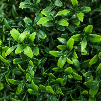 HOMCOM 2er-Set Kunstpflanzen, Künstliche Buchsbaum-Pflanzen, UV-geschützt, mit Topf, Grün