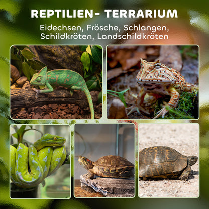 PawHut Glas-Terrarium für Reptilien, erhöhter &amp; wasserdichter Boden, Knopfschloss